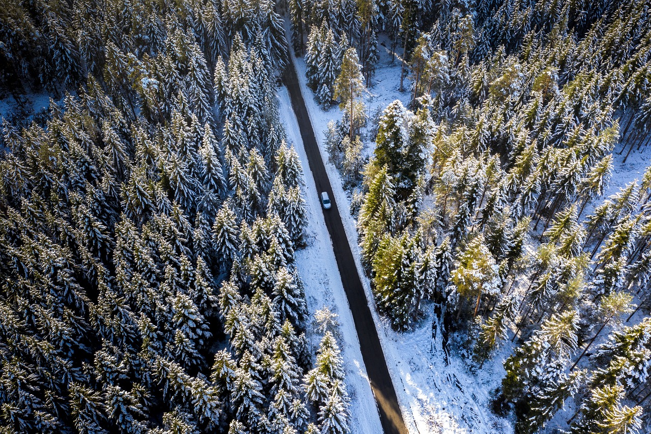 winterwinterforeststreet5814578 | 1 Rated Nationwide LoJack Dealer winter winter forest street 5814578jpg