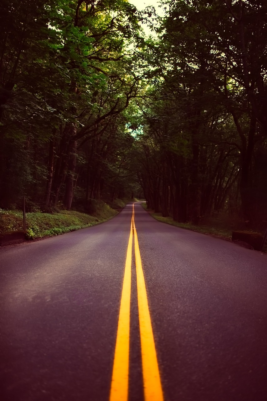 oregonlandscapeforest2530164 | 1 Rated Nationwide LoJack Dealer oregon landscape forest 2530164jpg