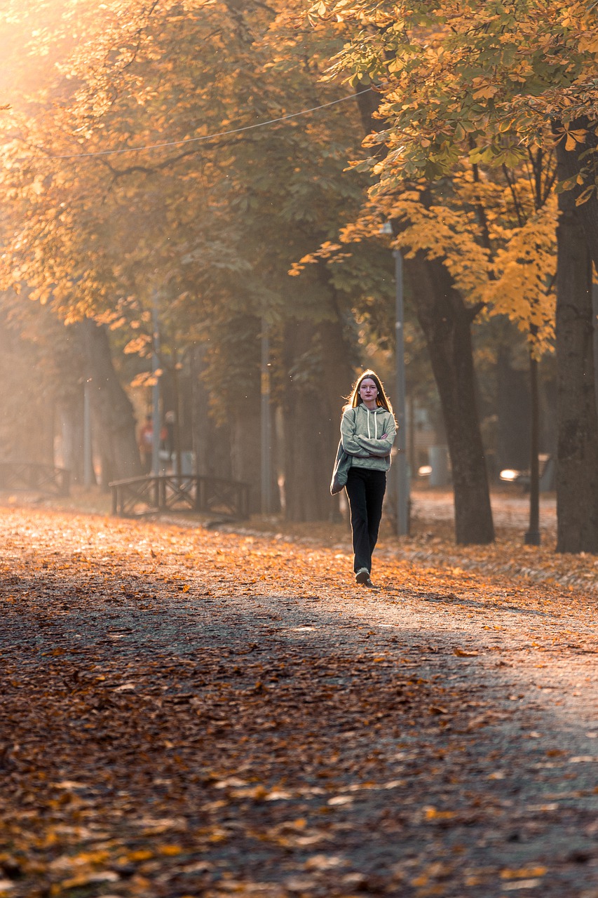 autumn park golden hour 7569704jpg