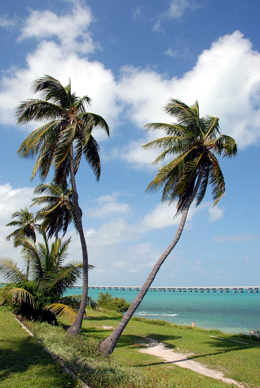 bahia honda state park florida keys seven mile bridge 1884367jpg