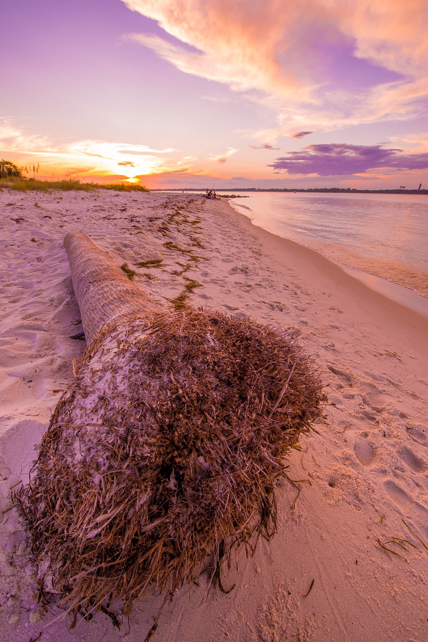 beach nature gulf coast 2772903jpg