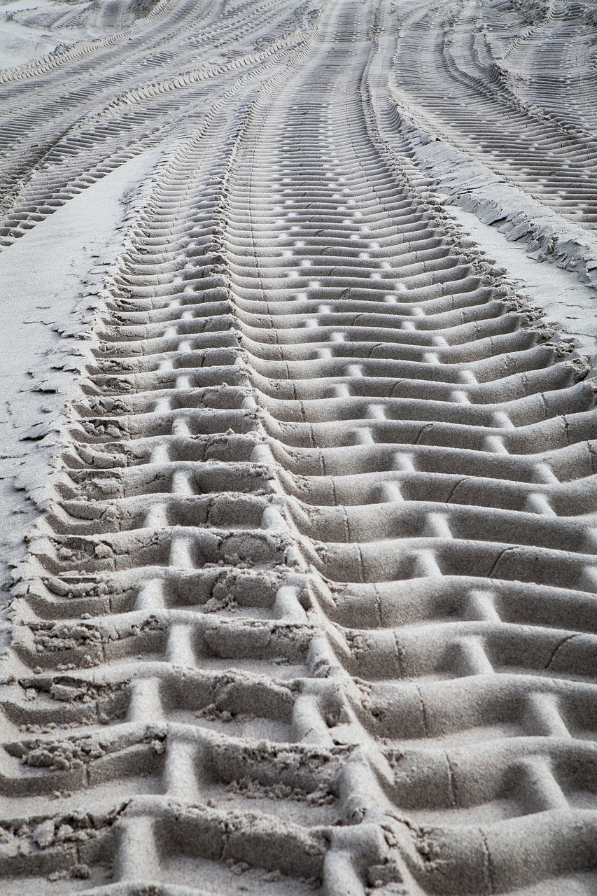 beach tread nature 3608959jpg