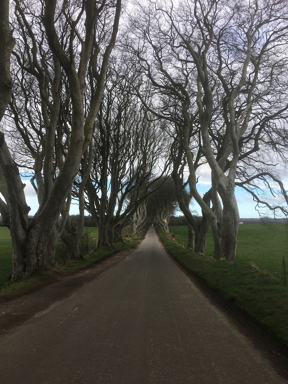 ireland the dark hedges game of thrones series 2811211jpg