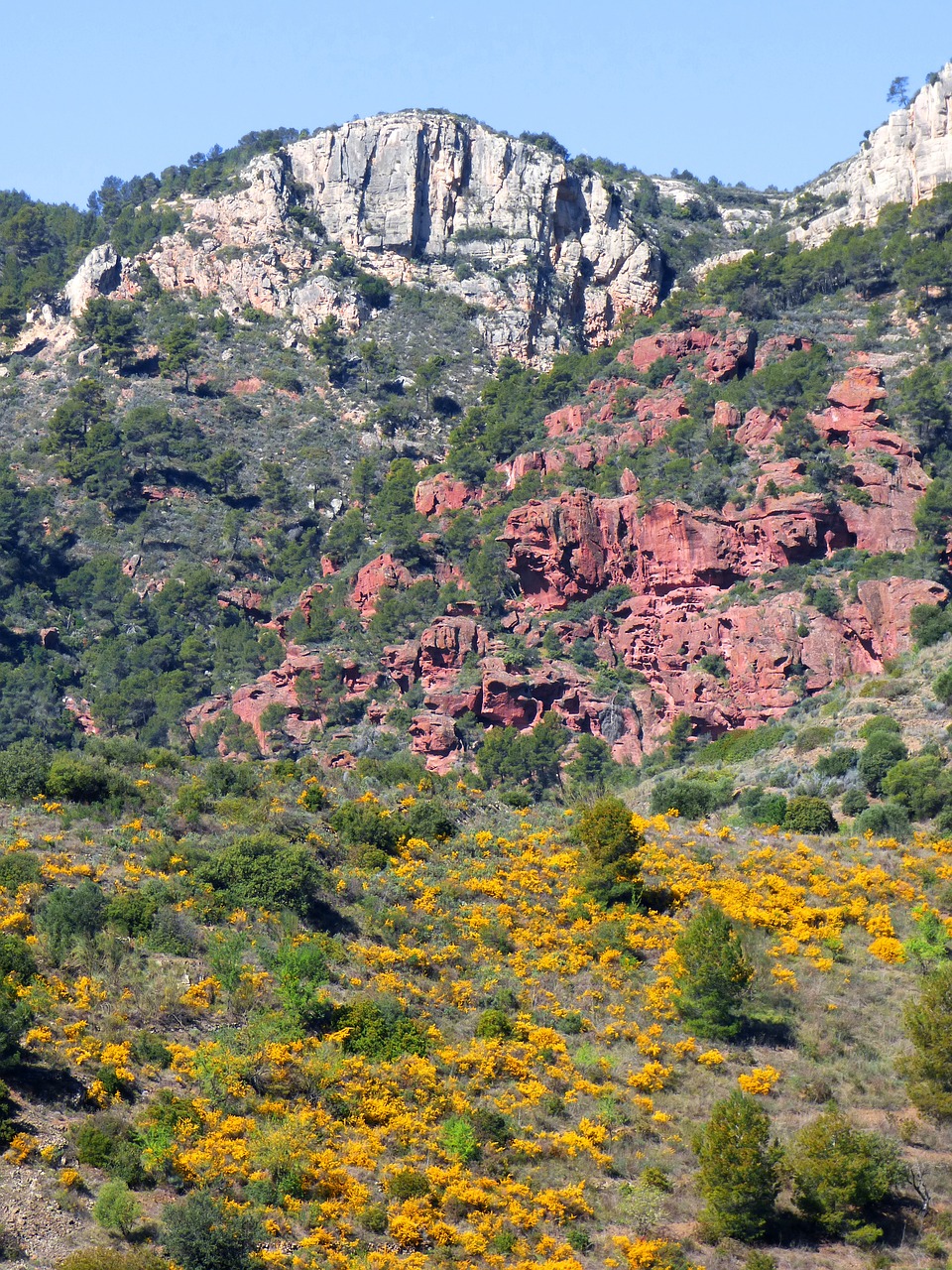 landscape priorat red sandstone 2160064jpg