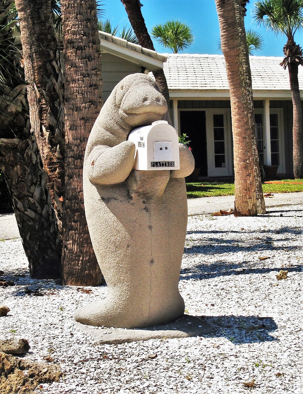 letter box florida manatee 1635975jpg