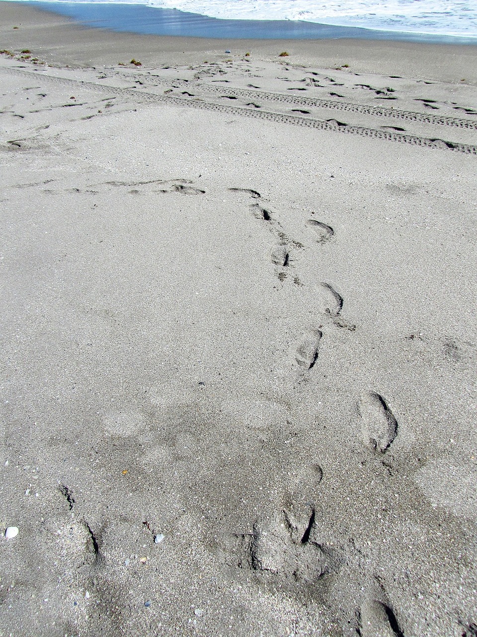 ocean florida sand 198133jpg