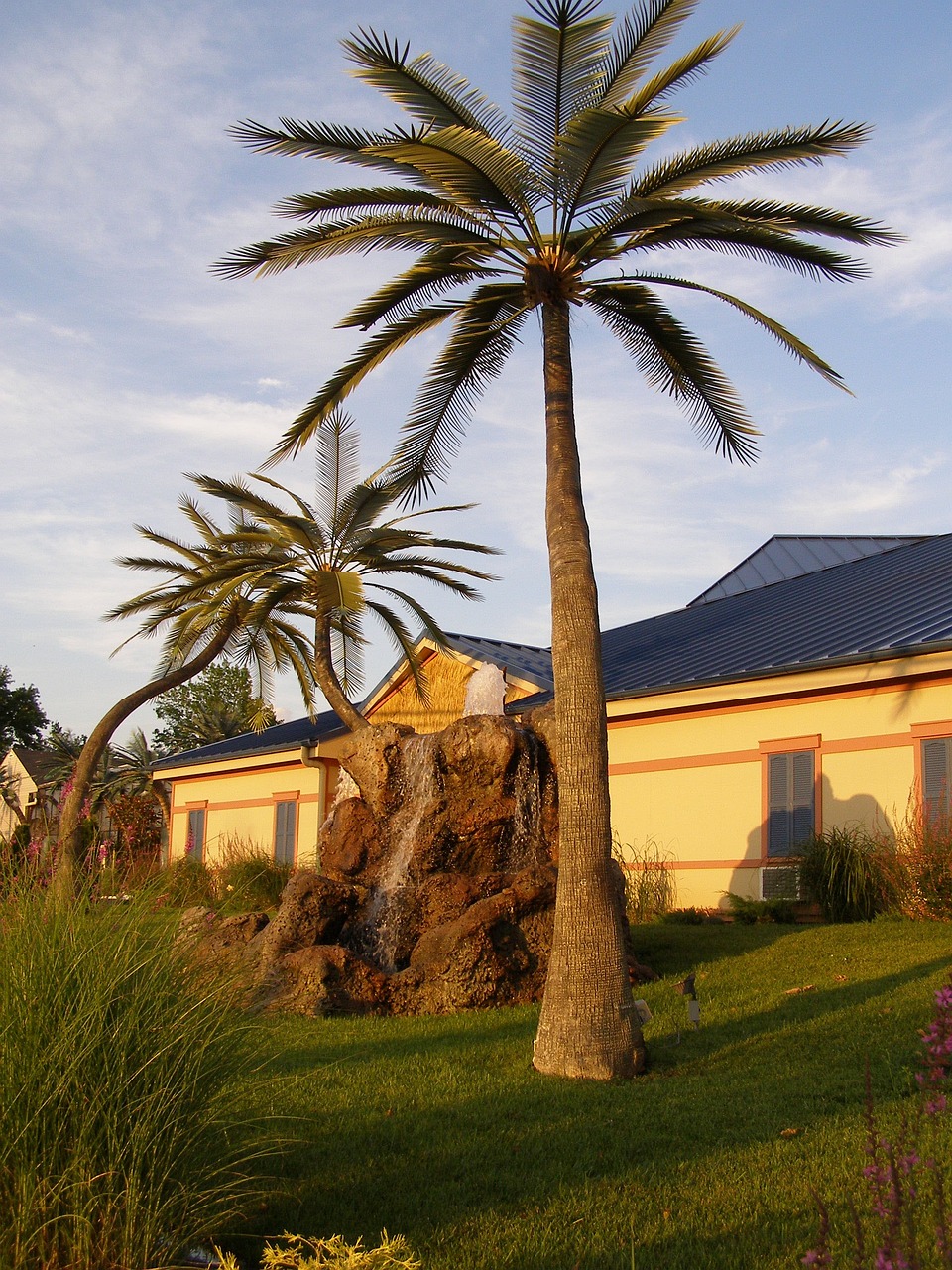 palm trees wildwood inn kentucky 2121641jpg