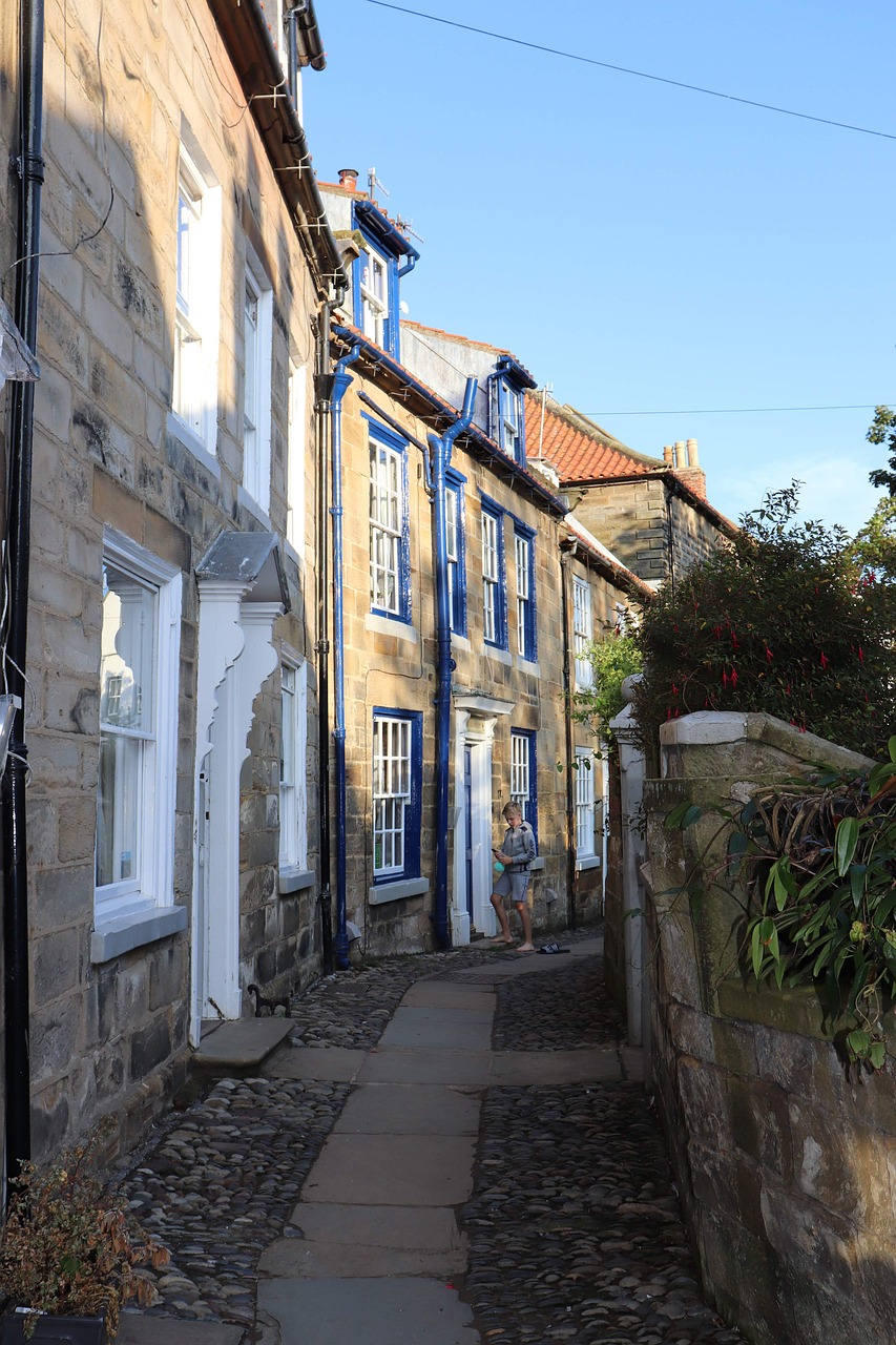 houses row of houses robin hoods bay 4556995jpg