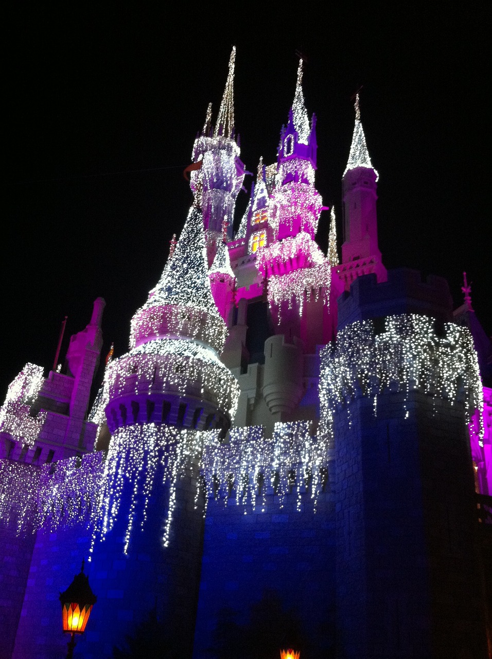 disney world nature cinderellas castle 226625jpg