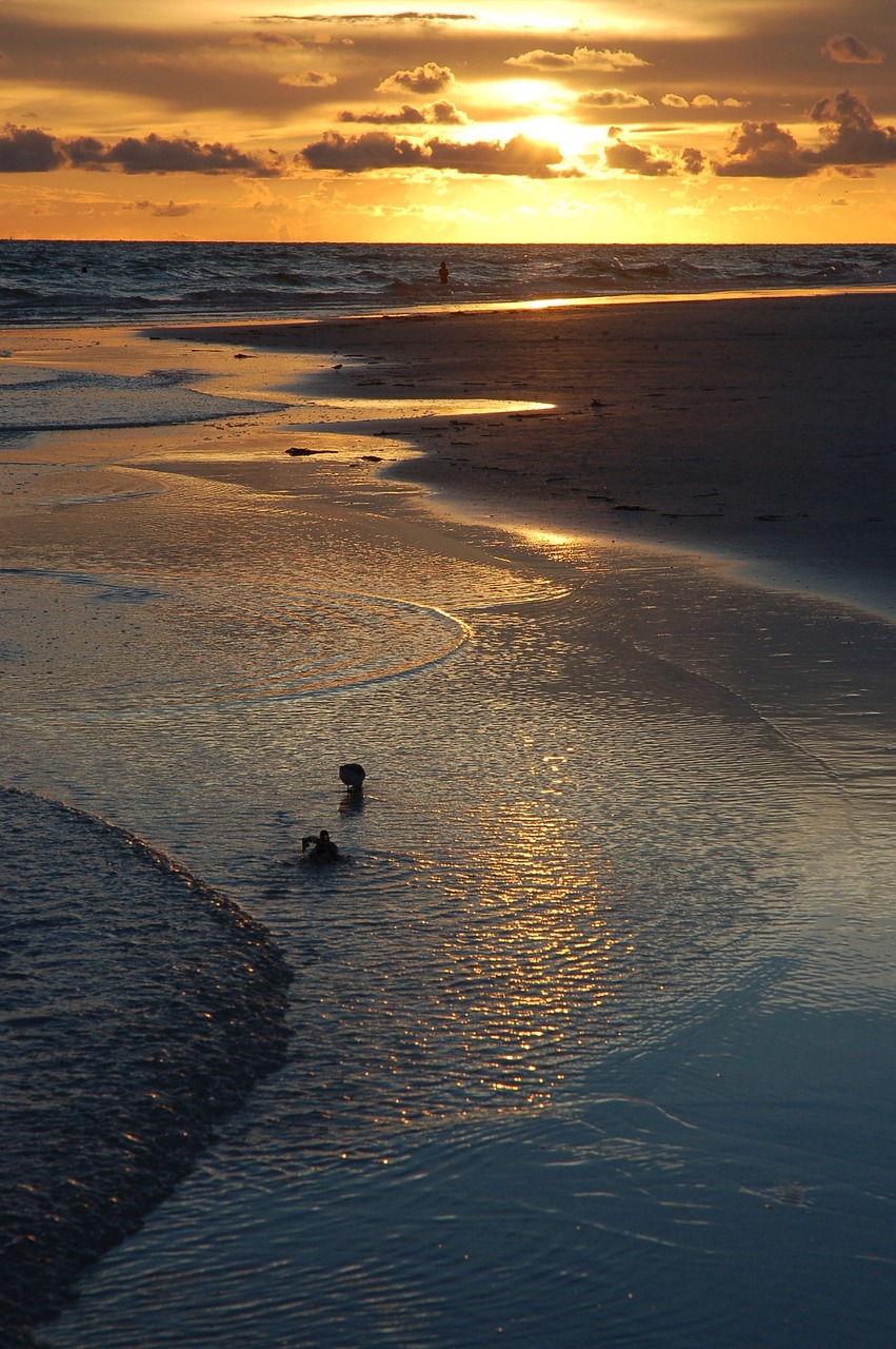 sunset siesta key florida 1032606jpg