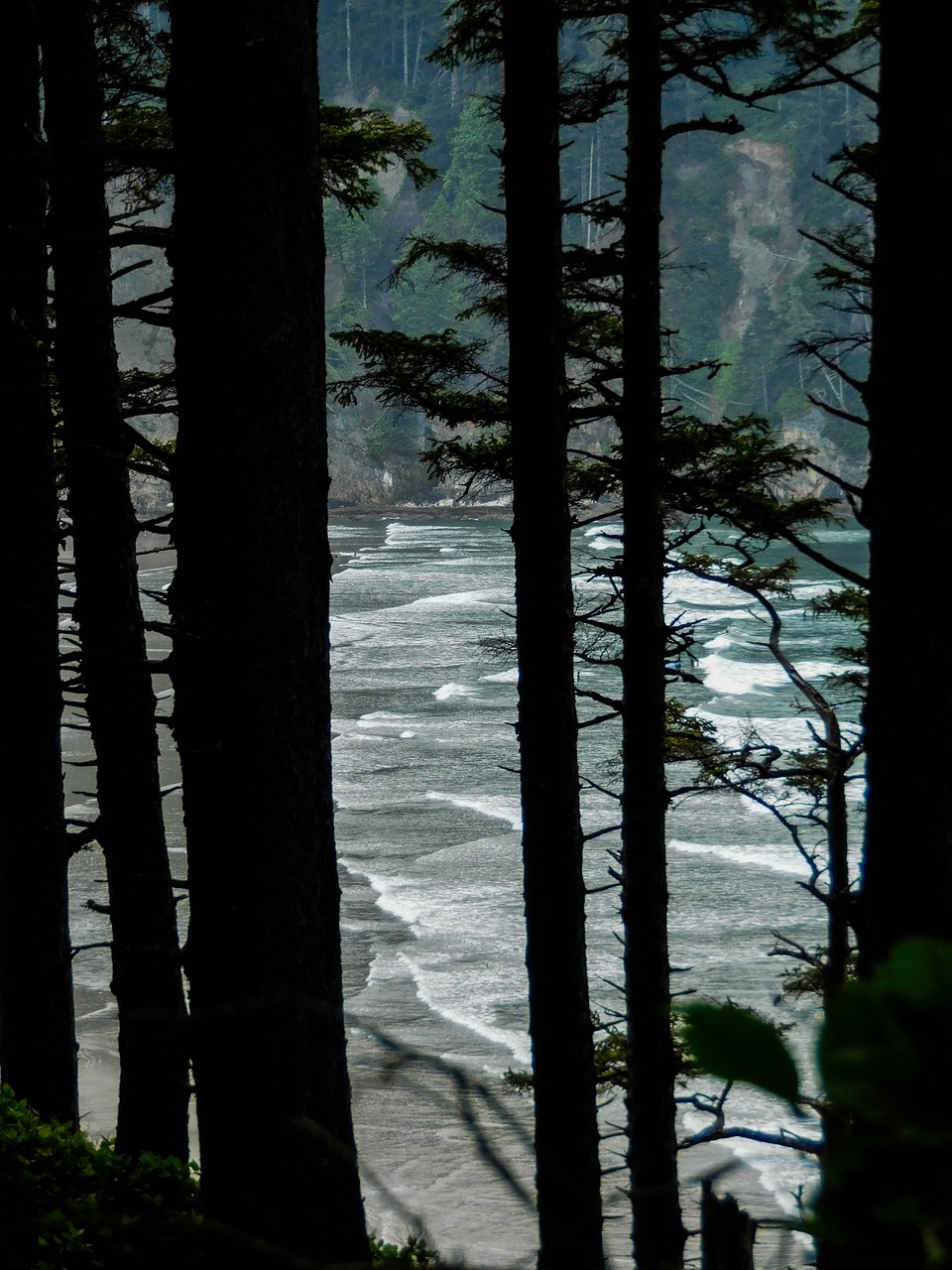 beach ocean oregon 3663824jpg