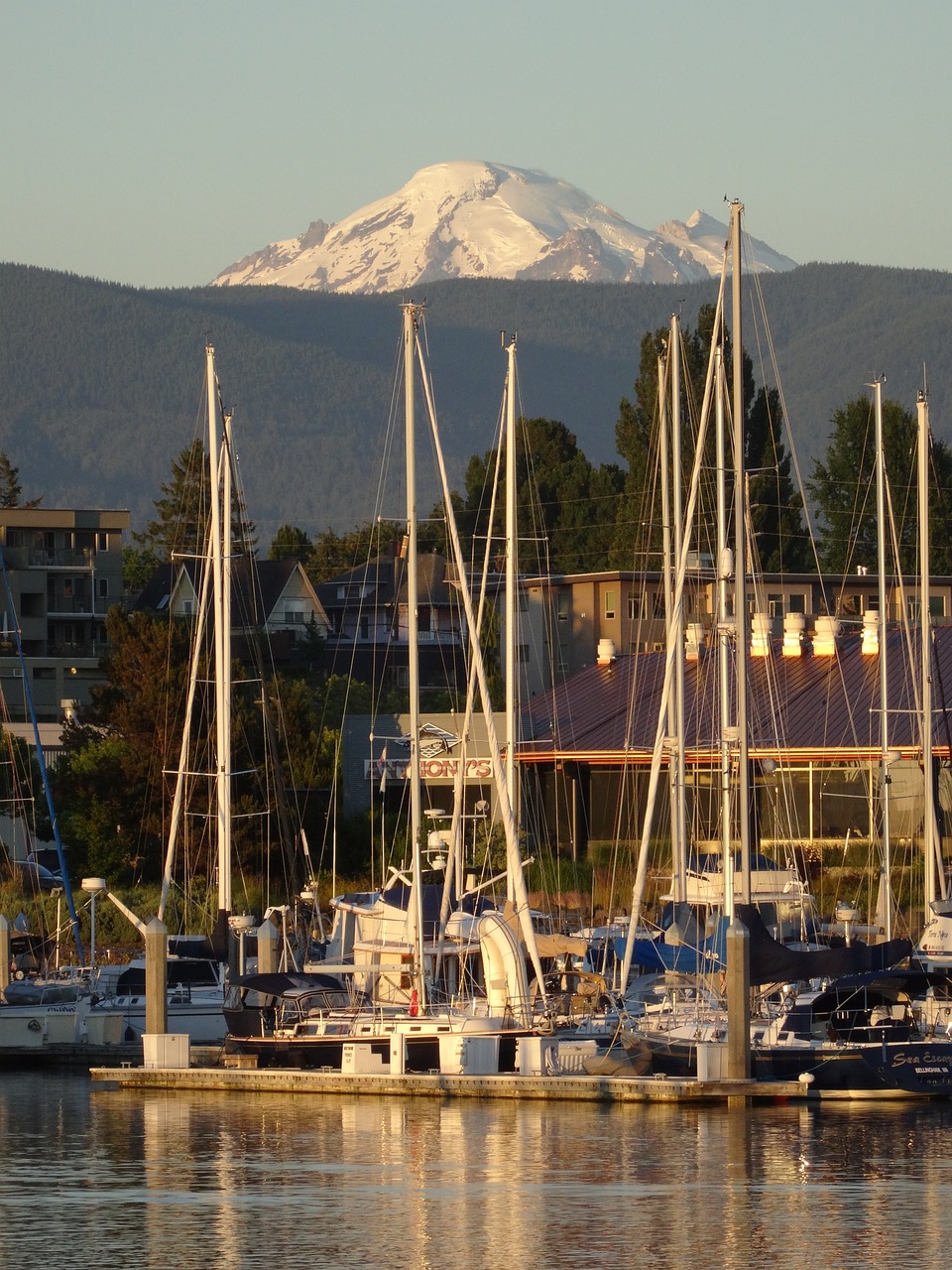 bellingham mountain harbor 4282804jpg