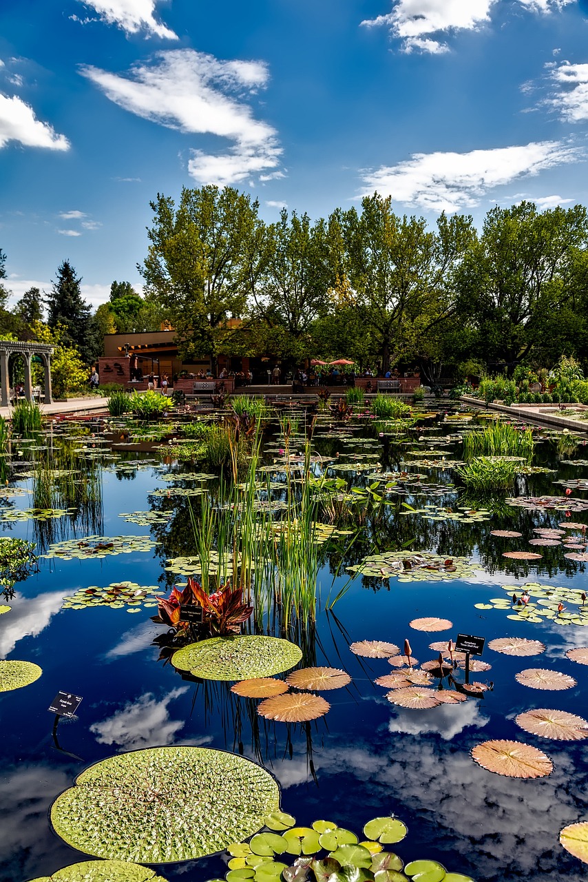 denvercoloradobotanicgardens1676476 | 1 Rated Nationwide LoJack Dealer denver colorado botanic gardens 1676476jpg