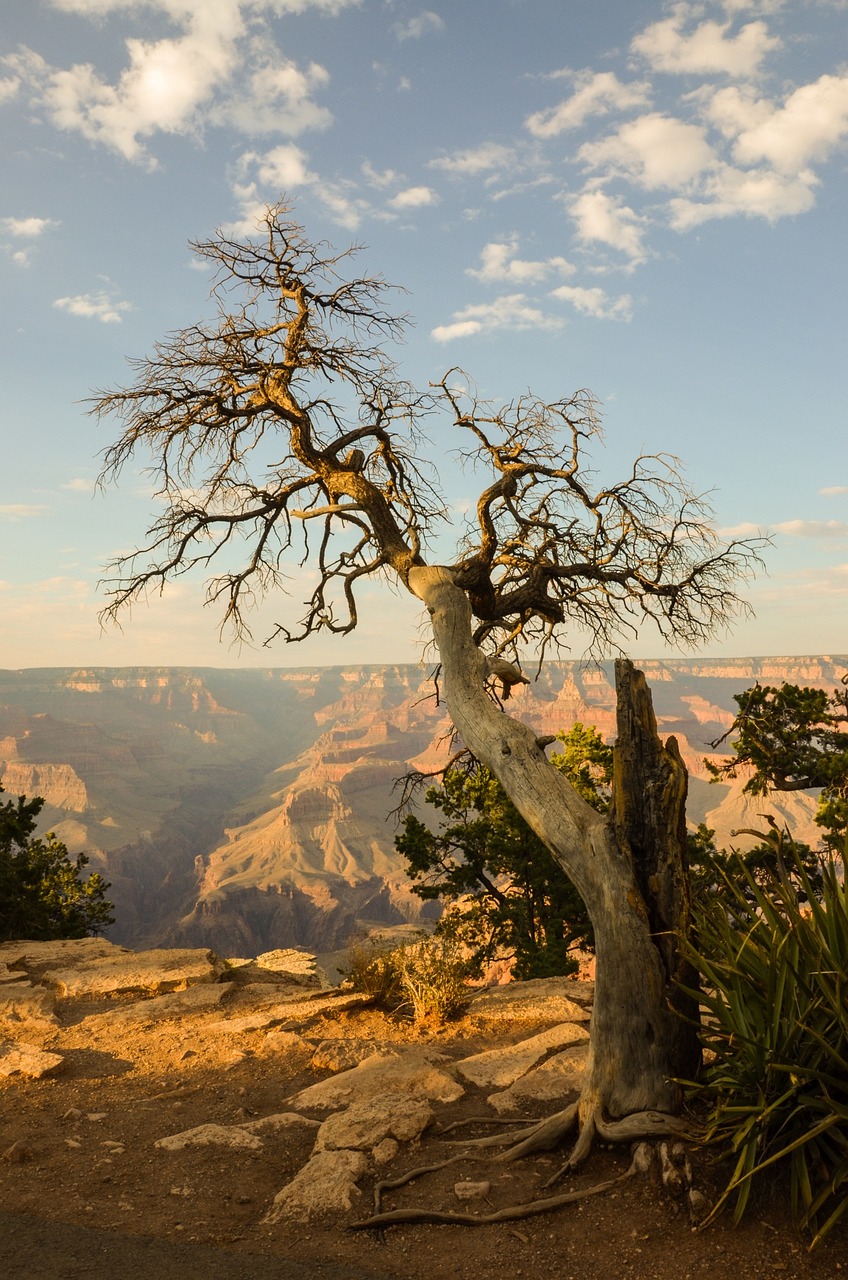 grand canyon arizona usa 1641428jpg