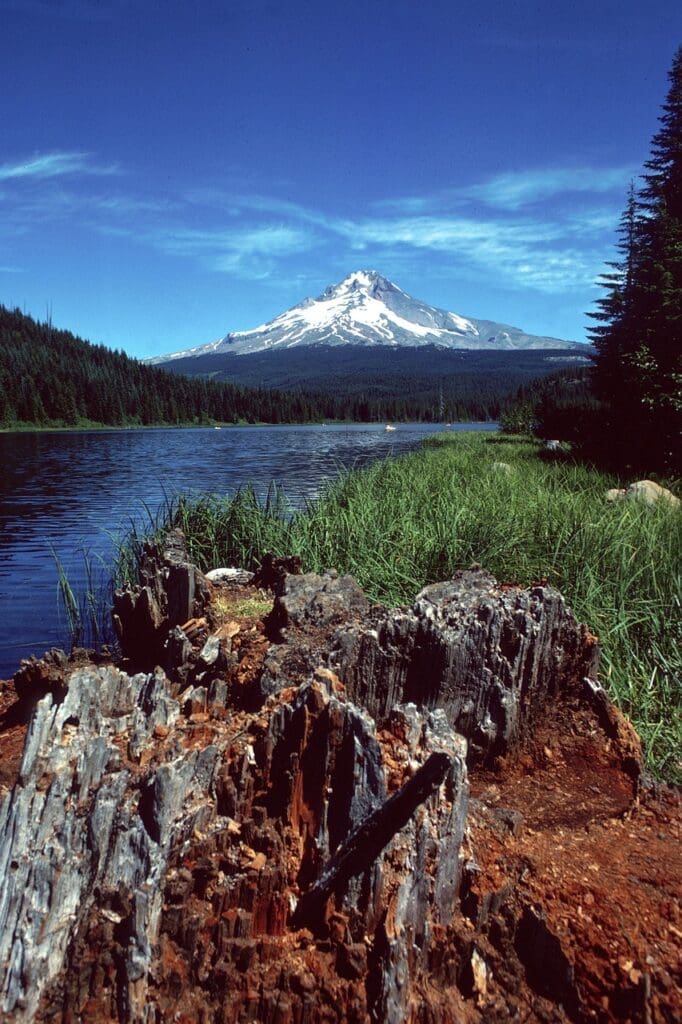 mount hood mountain nature 5357137jpg