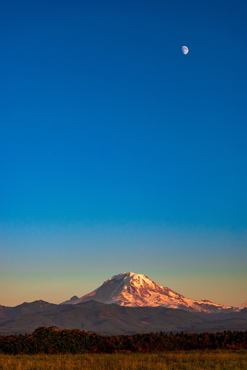 mount rainier washington nature 4363768jpg