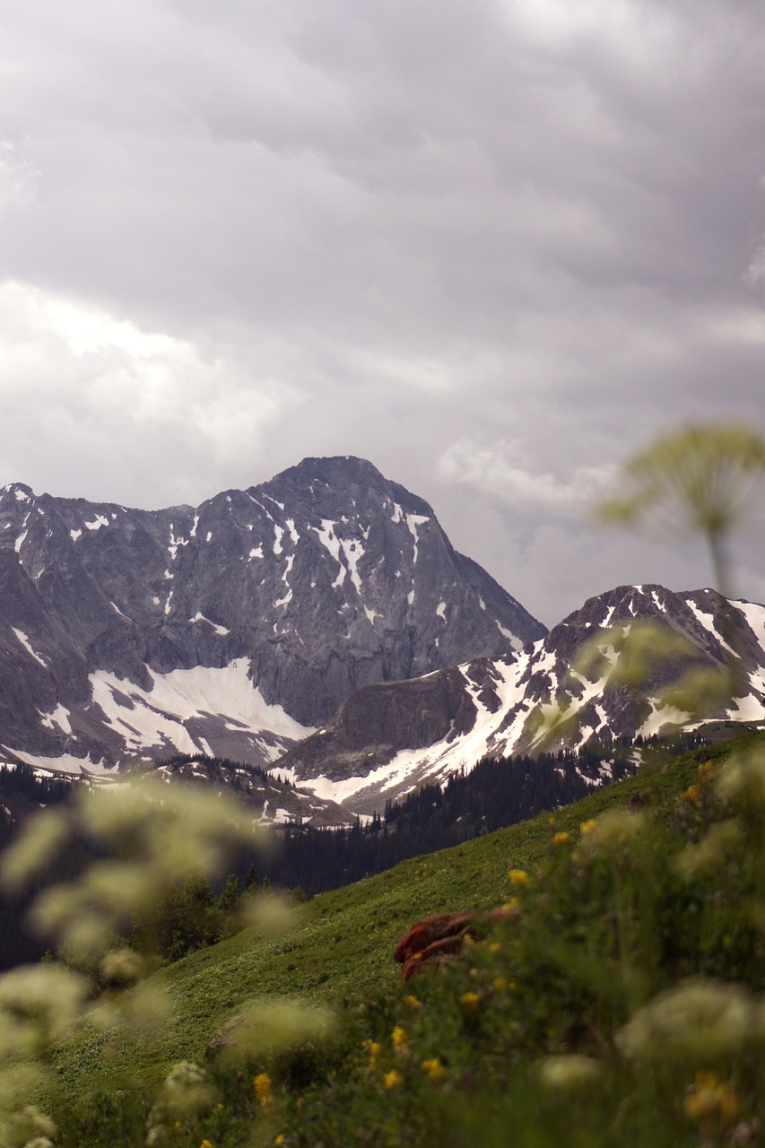 mountaincoloradowildflowers4083854 | 1 Rated Nationwide LoJack Dealer mountain colorado wildflowers 4083854jpg