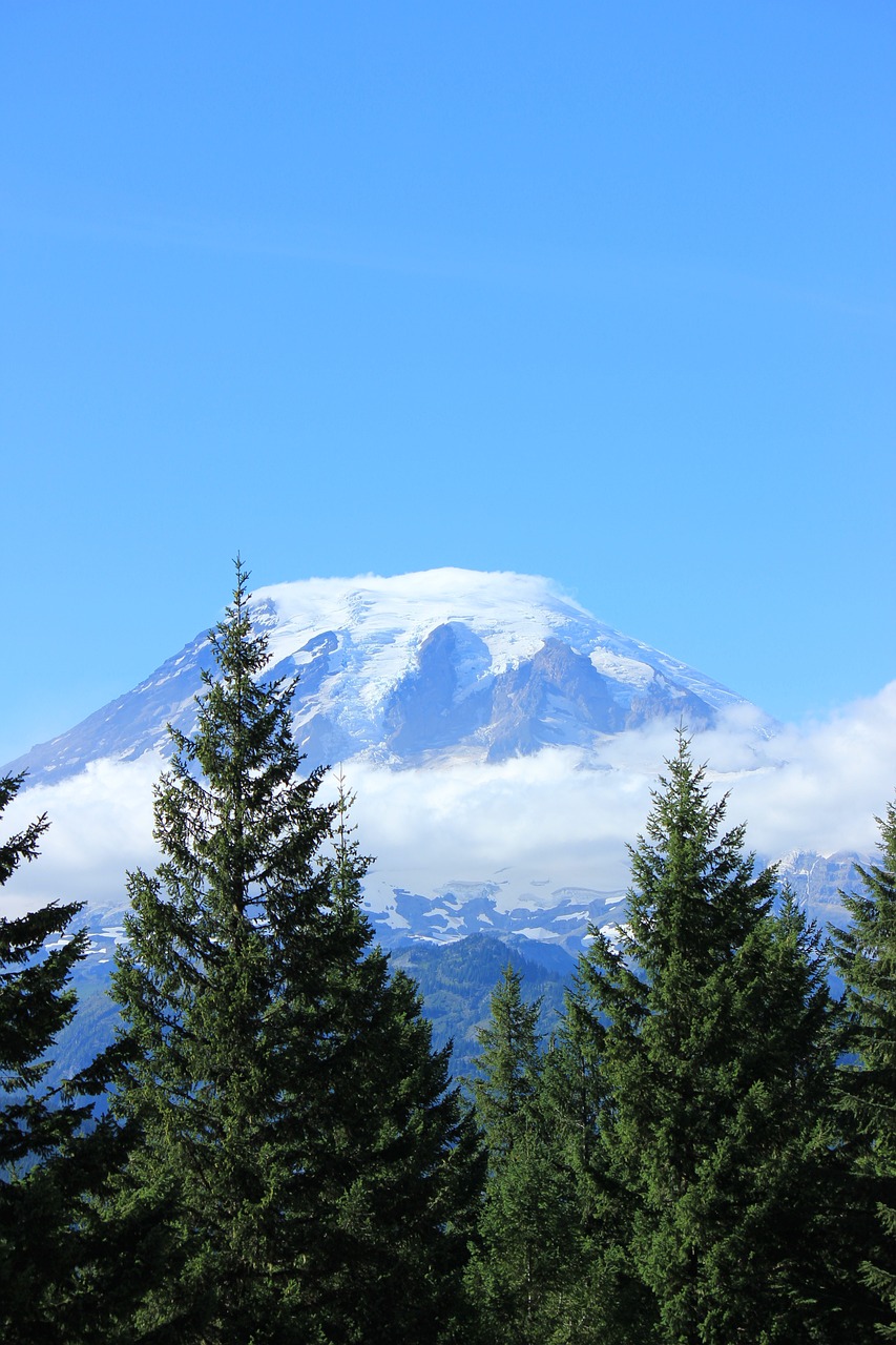 mountain mt rainier 1145712jpg