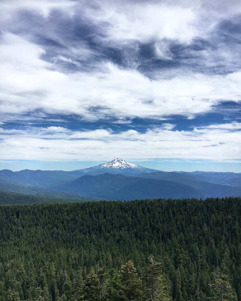 mountain oregon forest 1501078jpg