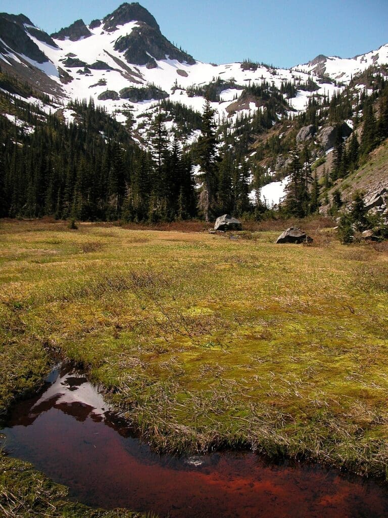 olympic national park washington landscape 80488jpg