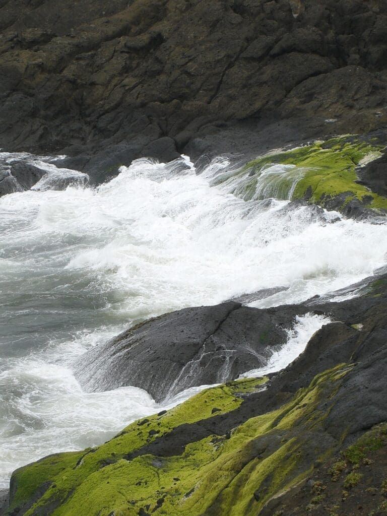 oregon coast nature pacific ocean 5142023jpg