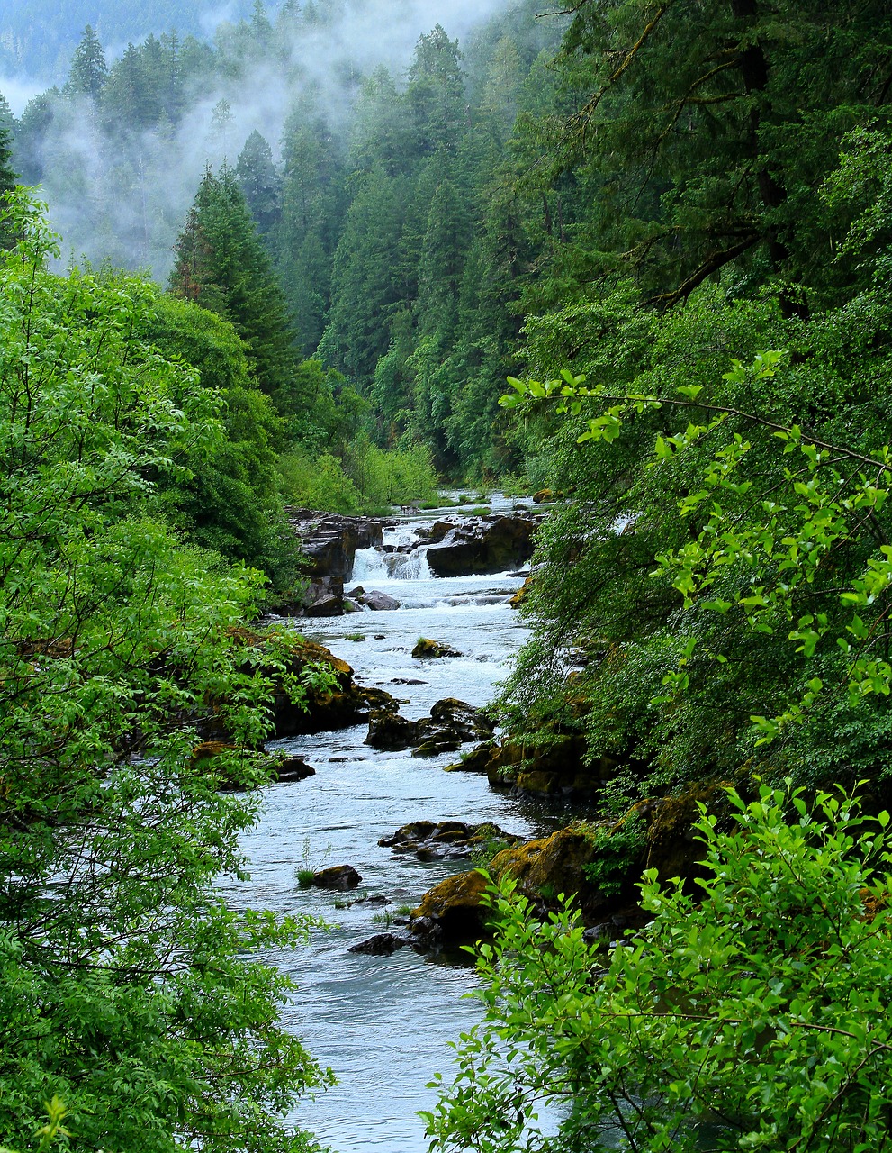 oregon water landscape 3957236jpg