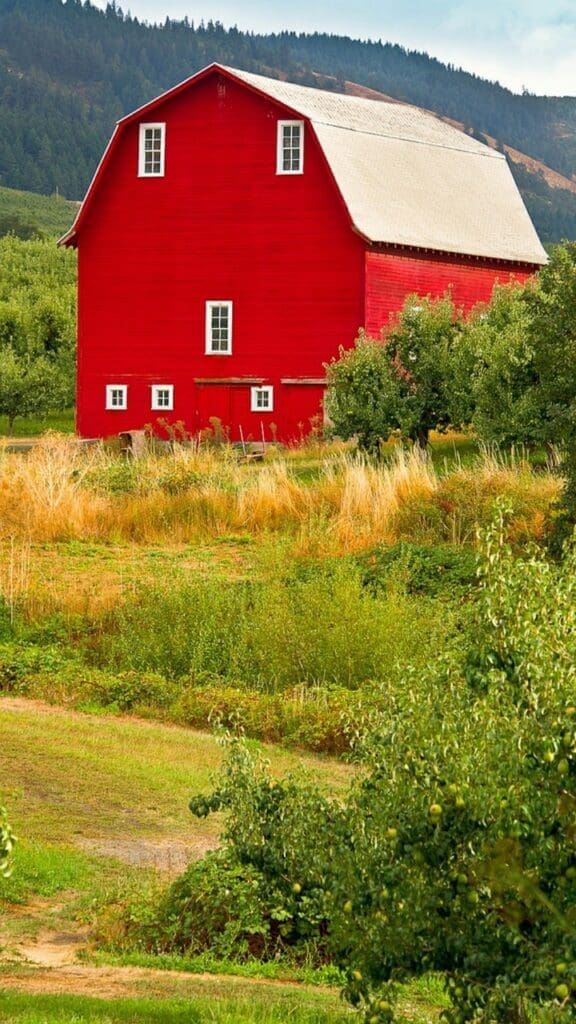 red barn oregon 2501024jpg