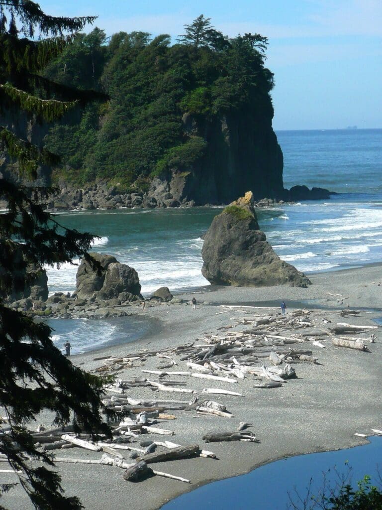 ruby beach olympic national park nature 53625jpg