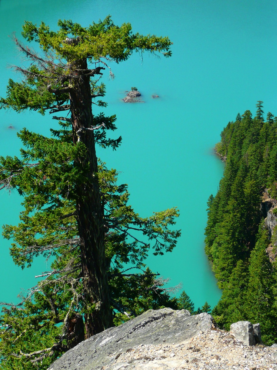 turquoise ross lake washington state 56329jpg