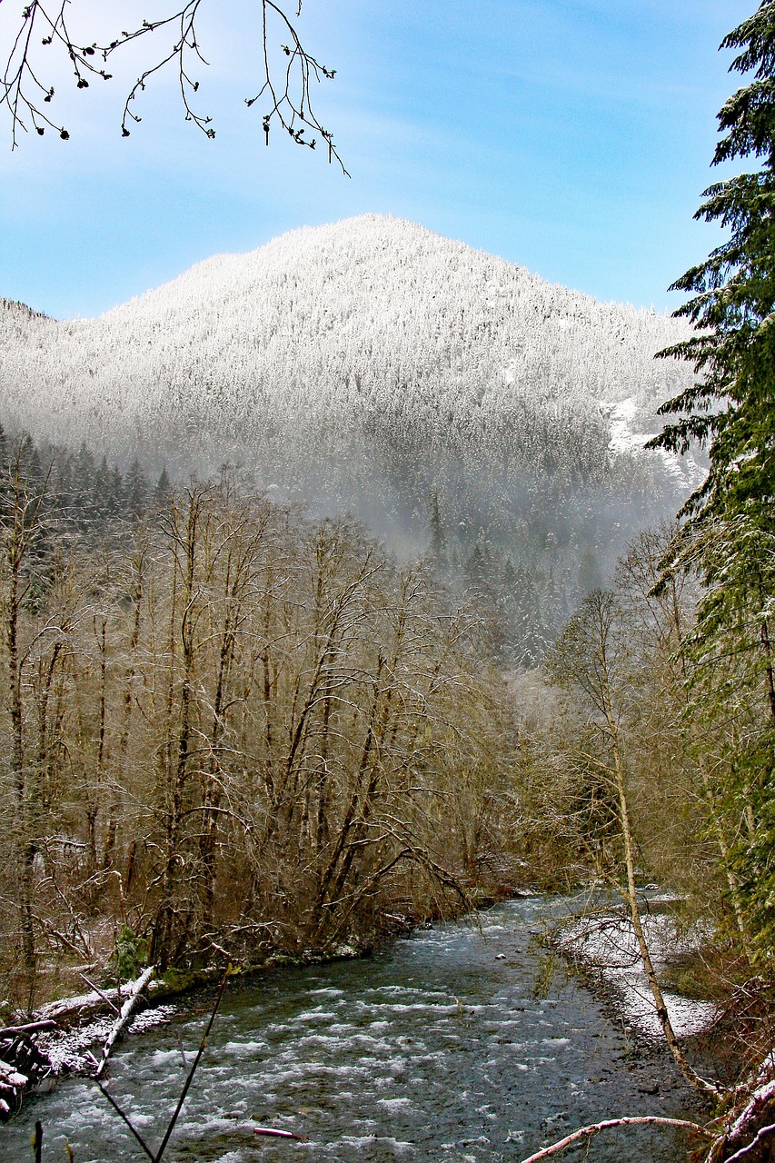 washington olympic peninsula 4991833jpg