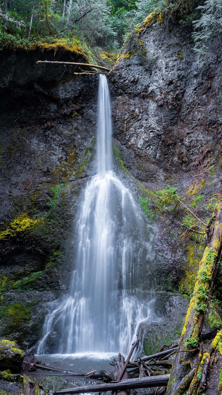 waterfall forest pine forest 5354778jpg