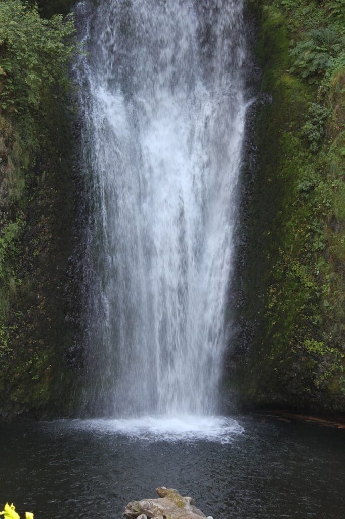 waterfall oregon nature 4020926jpg