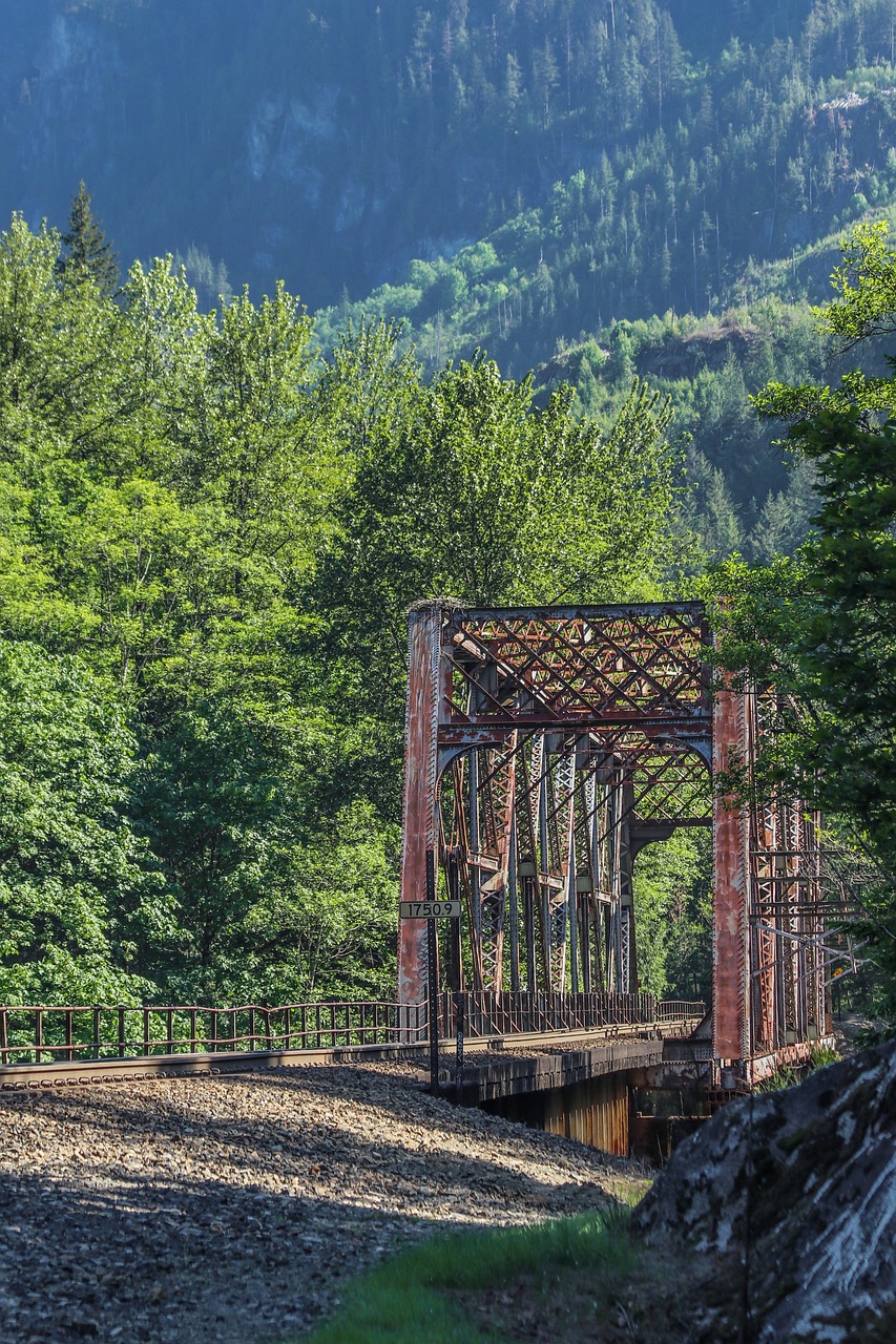 woods railroad bridge 7260165jpg